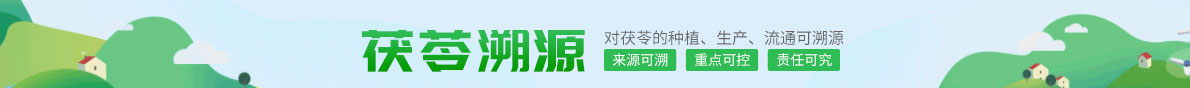 茯苓溯源