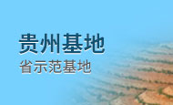 home页面贵州基地
